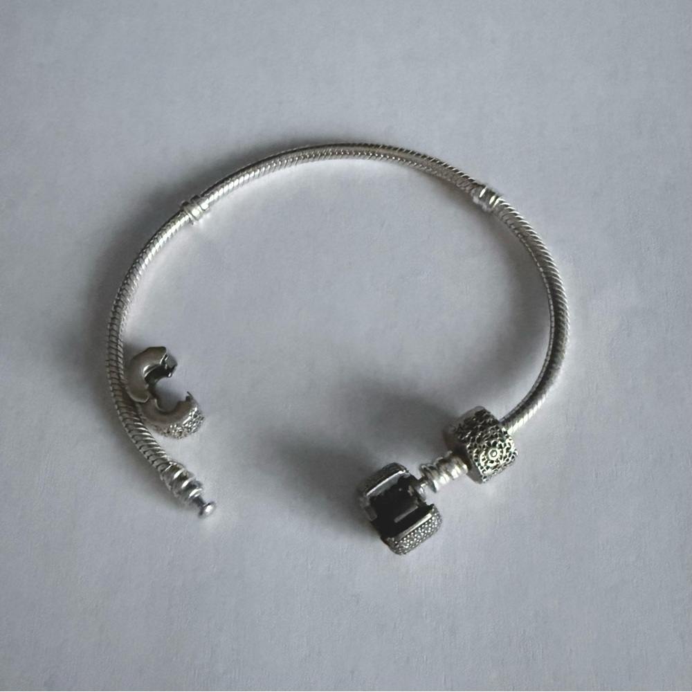 Pandora Sterling Silver Charm Bracelet with 2 Sterling Silver Clip Charms